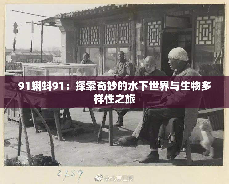 91蝌蚪91：探索奇妙的水下世界与生物多样性之旅