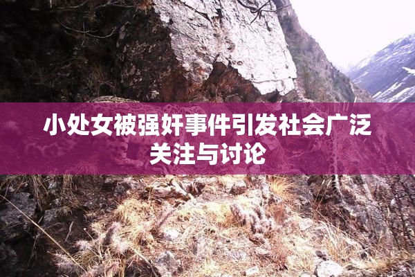 小处女被强奸事件引发社会广泛关注与讨论