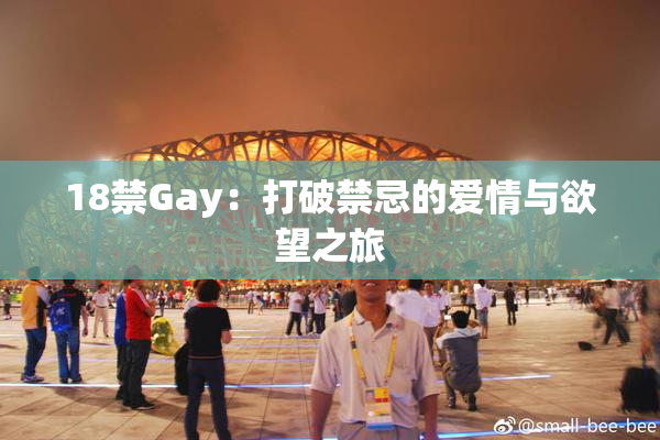 18禁Gay：打破禁忌的爱情与欲望之旅
