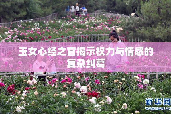 玉女心经之官揭示权力与情感的复杂纠葛