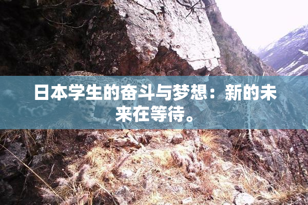 日本学生的奋斗与梦想：新的未来在等待。