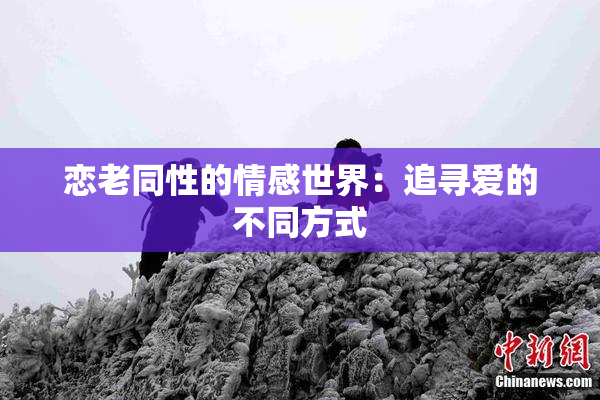 恋老同性的情感世界：追寻爱的不同方式