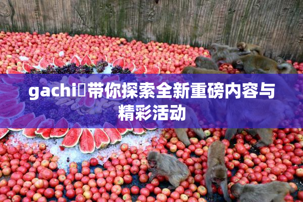 gachi籣带你探索全新重磅内容与精彩活动