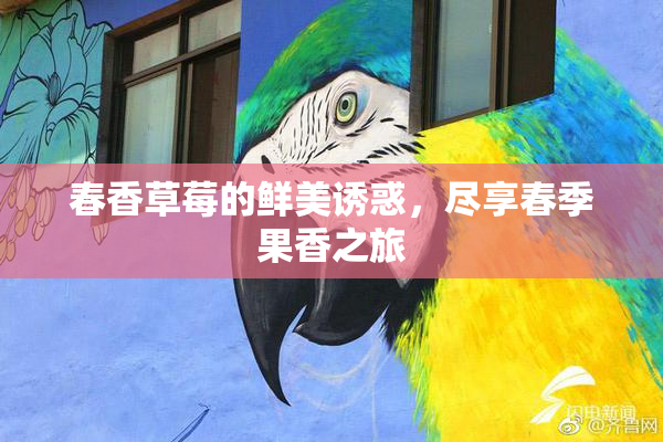 春香草莓的鲜美诱惑，尽享春季果香之旅