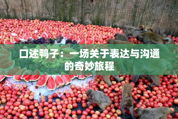 口述鸭子：一场关于表达与沟通的奇妙旅程