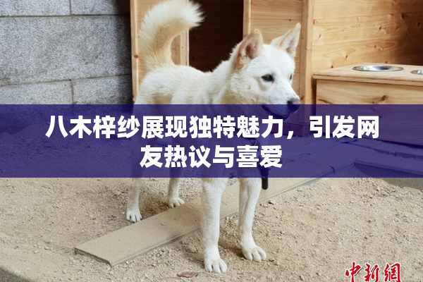八木梓纱展现独特魅力，引发网友热议与喜爱
