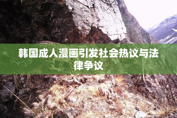 韩国成人漫画引发社会热议与法律争议