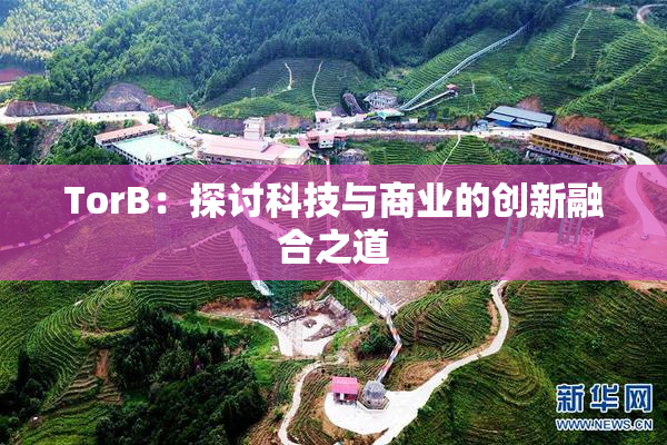 TorB：探讨科技与商业的创新融合之道