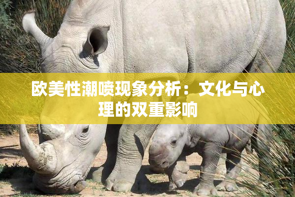 欧美性潮喷现象分析：文化与心理的双重影响