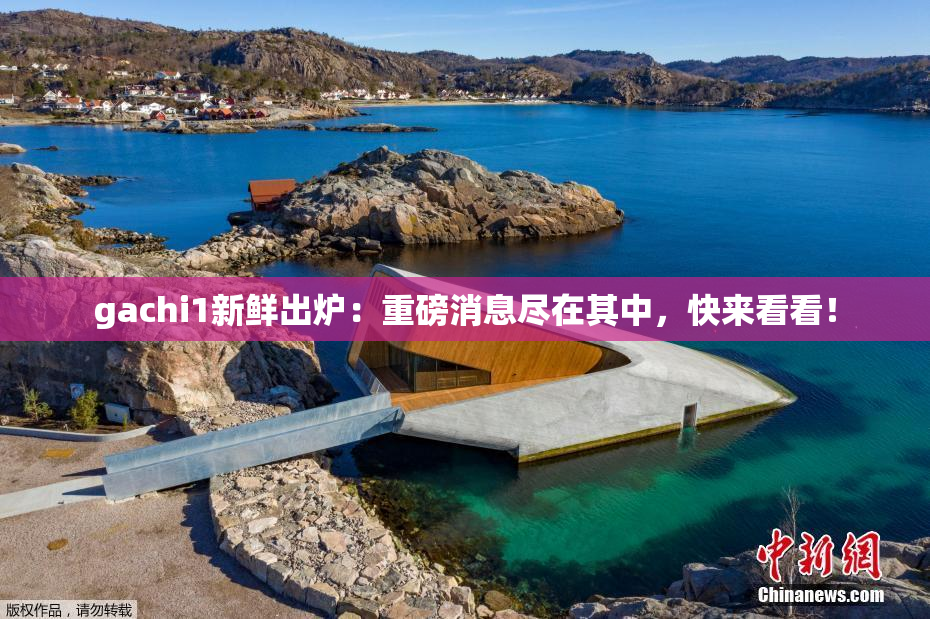 gachi1新鲜出炉：重磅消息尽在其中，快来看看！