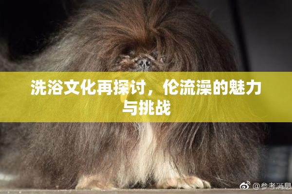 洗浴文化再探讨，伦流澡的魅力与挑战