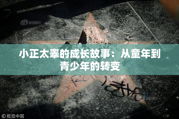 小正太睾的成长故事：从童年到青少年的转变
