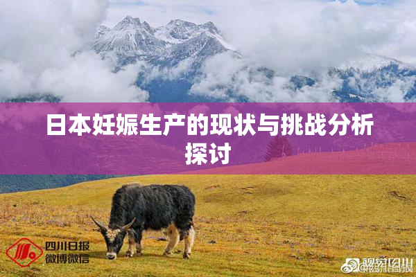 日本妊娠生产的现状与挑战分析探讨
