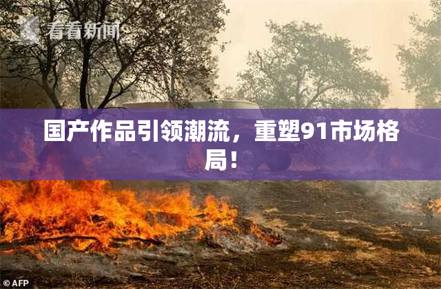 国产作品引领潮流，重塑91市场格局！