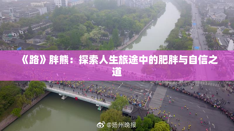 《路》胖熊：探索人生旅途中的肥胖与自信之道