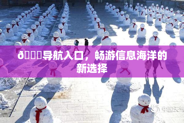 🍓导航入口，畅游信息海洋的新选择