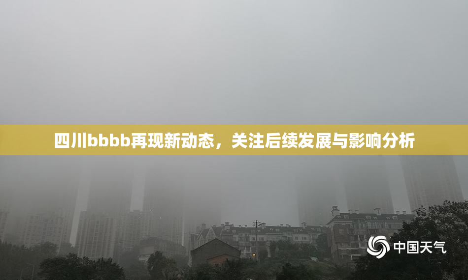四川bbbb再现新动态，关注后续发展与影响分析