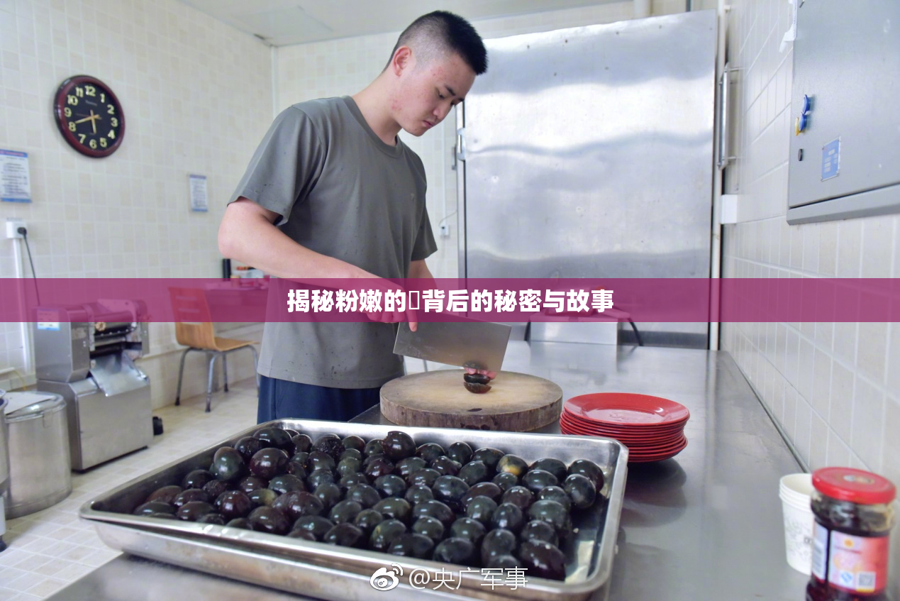 揭秘粉嫩的泬背后的秘密与故事