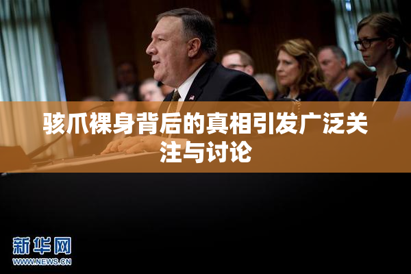 骇爪裸身背后的真相引发广泛关注与讨论