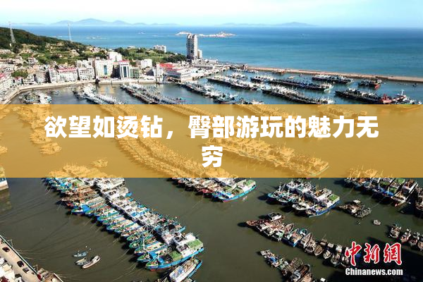 欲望如烫钻，臀部游玩的魅力无穷