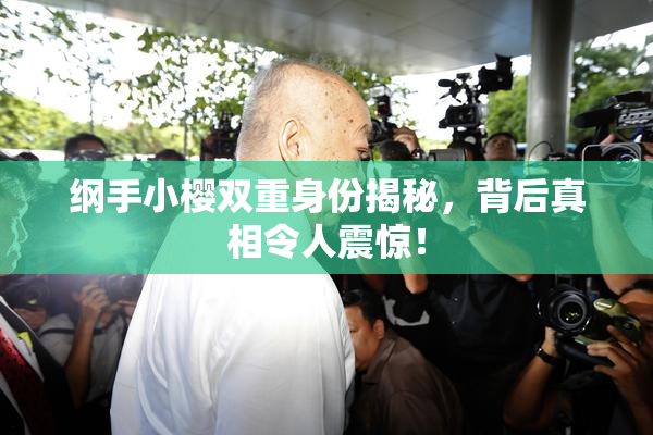 纲手小樱双重身份揭秘，背后真相令人震惊！