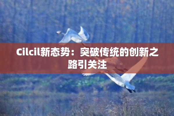 Cilcil新态势：突破传统的创新之路引关注