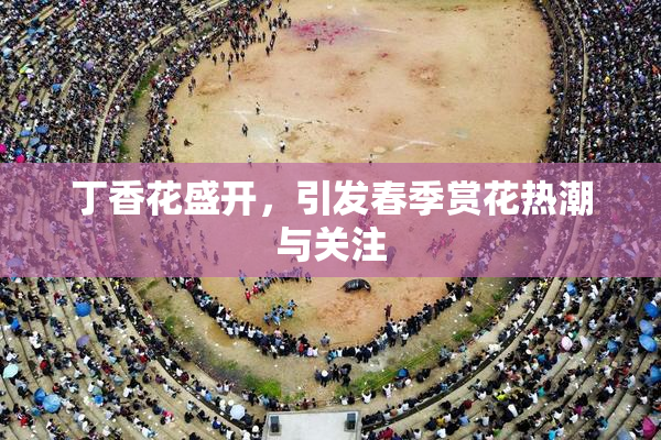 丁香花盛开，引发春季赏花热潮与关注