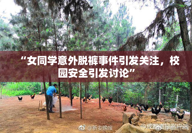 “女同学意外脱裤事件引发关注，校园安全引发讨论”