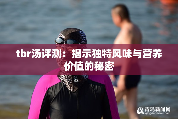 tbr汤评测：揭示独特风味与营养价值的秘密