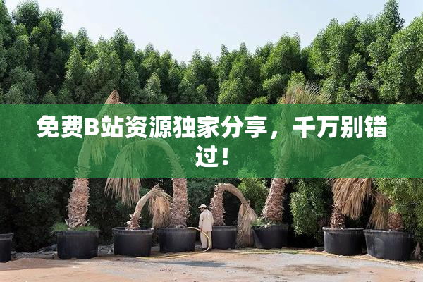 免费B站资源独家分享，千万别错过！