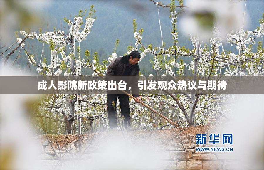 成人影院新政策出台，引发观众热议与期待