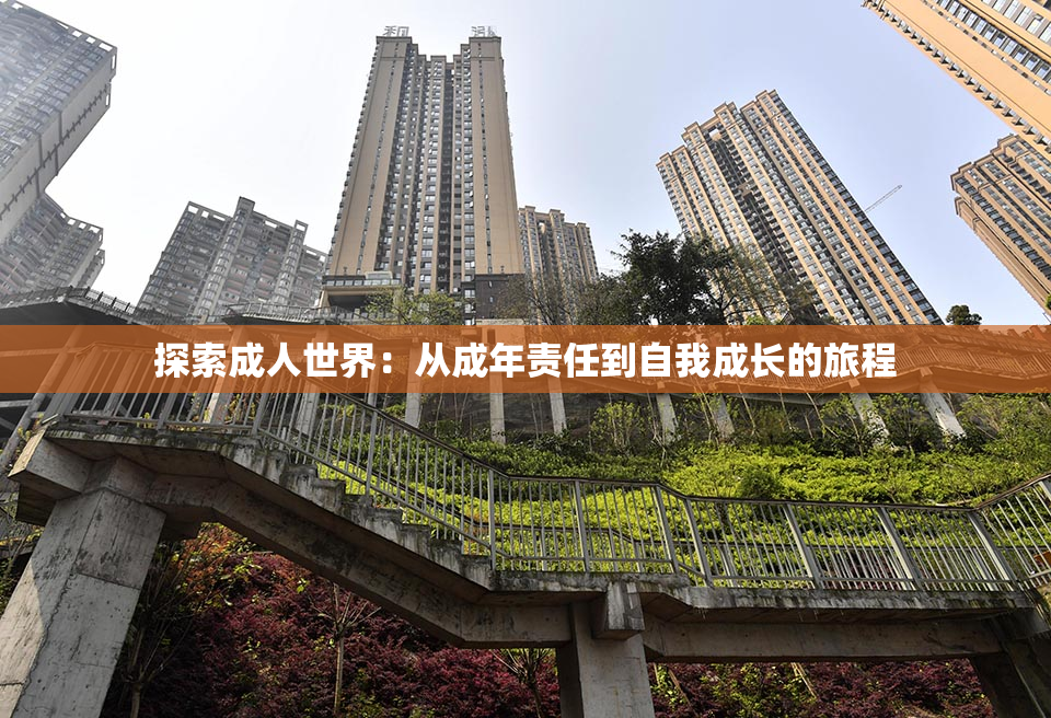 探索成人世界：从成年责任到自我成长的旅程