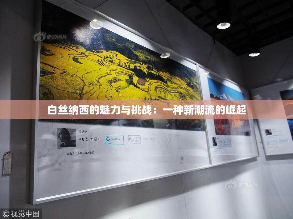 白丝纳西的魅力与挑战：一种新潮流的崛起