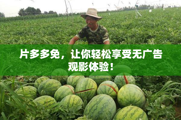 片多多免，让你轻松享受无广告观影体验！