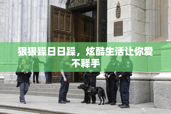 狠狠躁日日躁，炫酷生活让你爱不释手