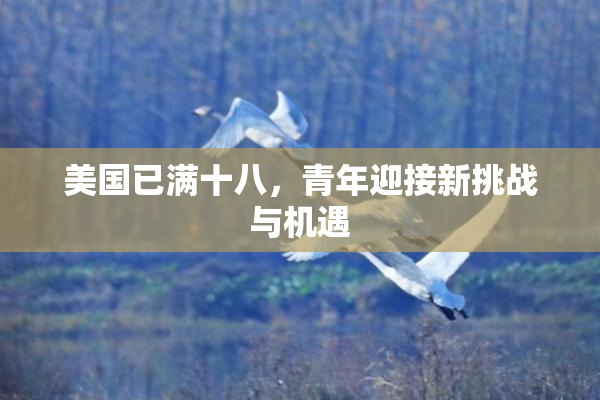 美国已满十八，青年迎接新挑战与机遇