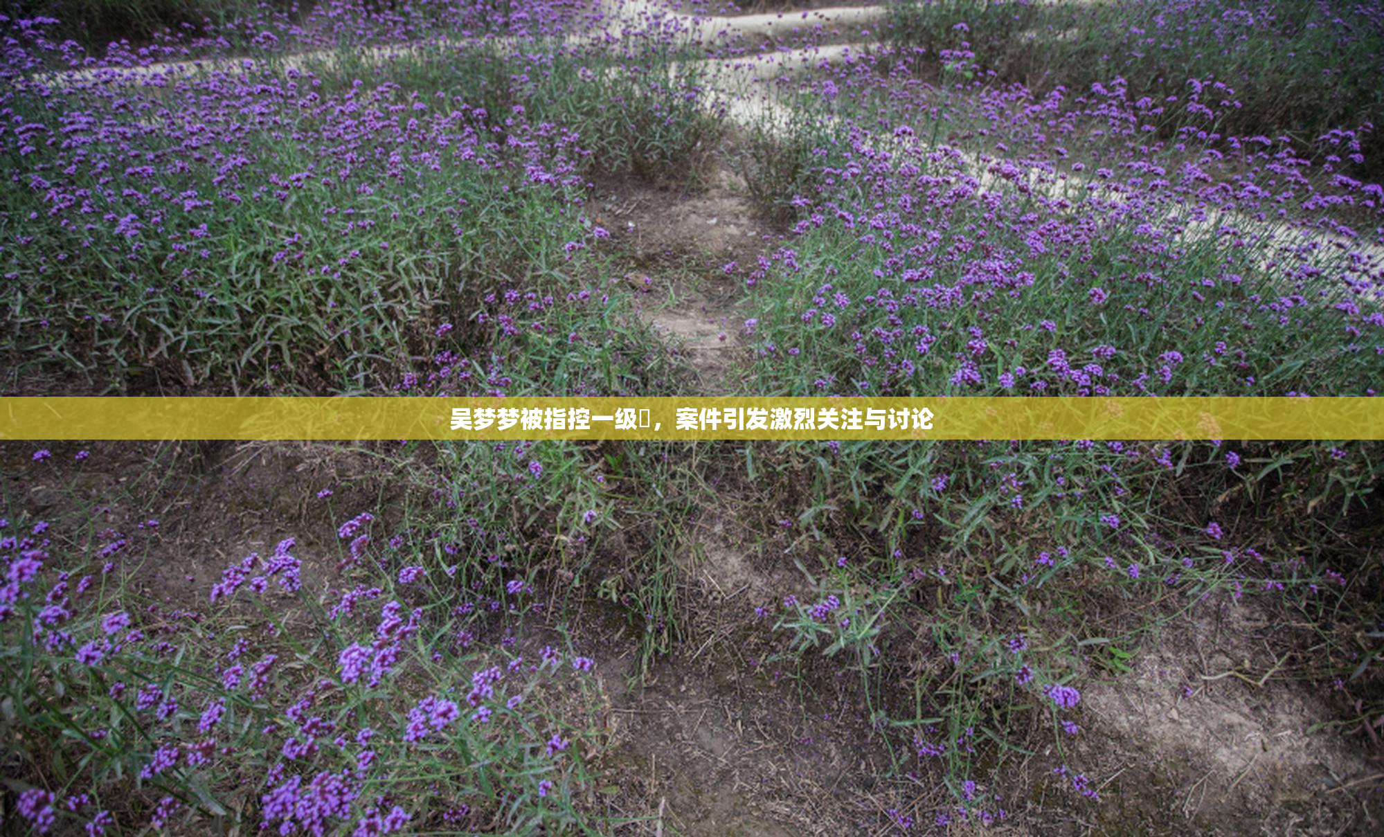 吴梦梦被指控一级婬，案件引发激烈关注与讨论