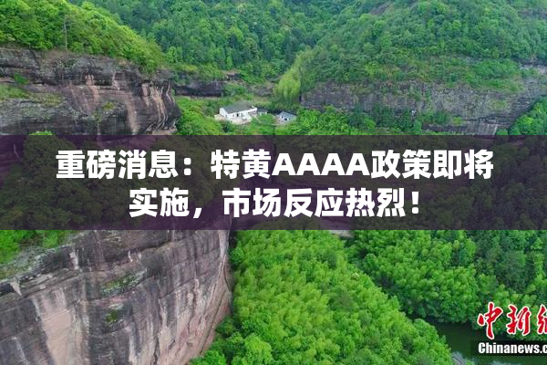 重磅消息：特黄AAAA政策即将实施，市场反应热烈！