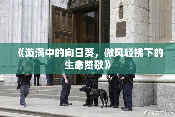 《漩涡中的向日葵，微风轻拂下的生命赞歌》