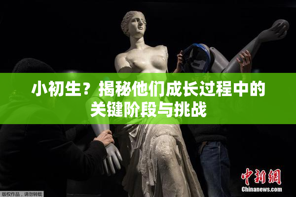 小初生？揭秘他们成长过程中的关键阶段与挑战