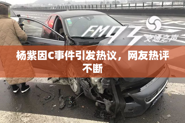 杨紫因C事件引发热议，网友热评不断