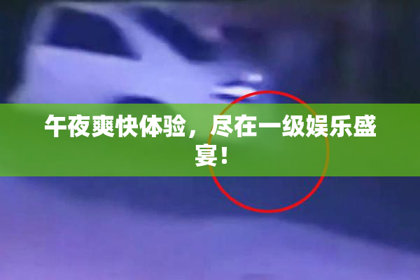 午夜爽快体验，尽在一级娱乐盛宴！