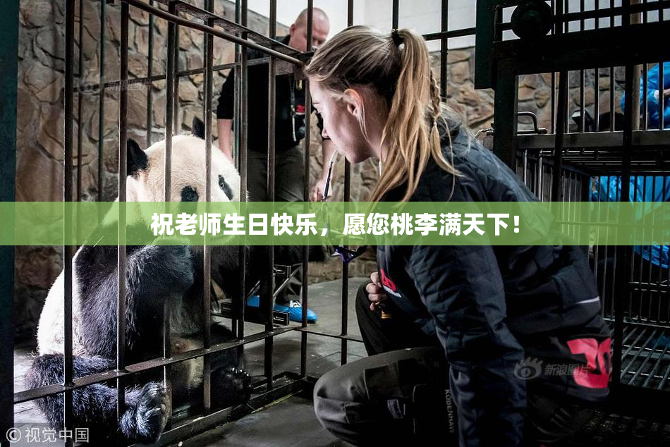 祝老师生日快乐，愿您桃李满天下！