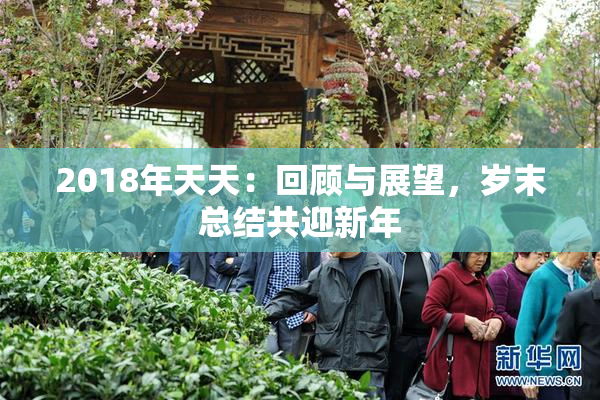 2018年天天：回顾与展望，岁末总结共迎新年