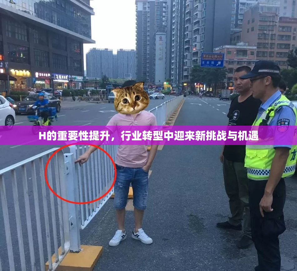 H的重要性提升，行业转型中迎来新挑战与机遇