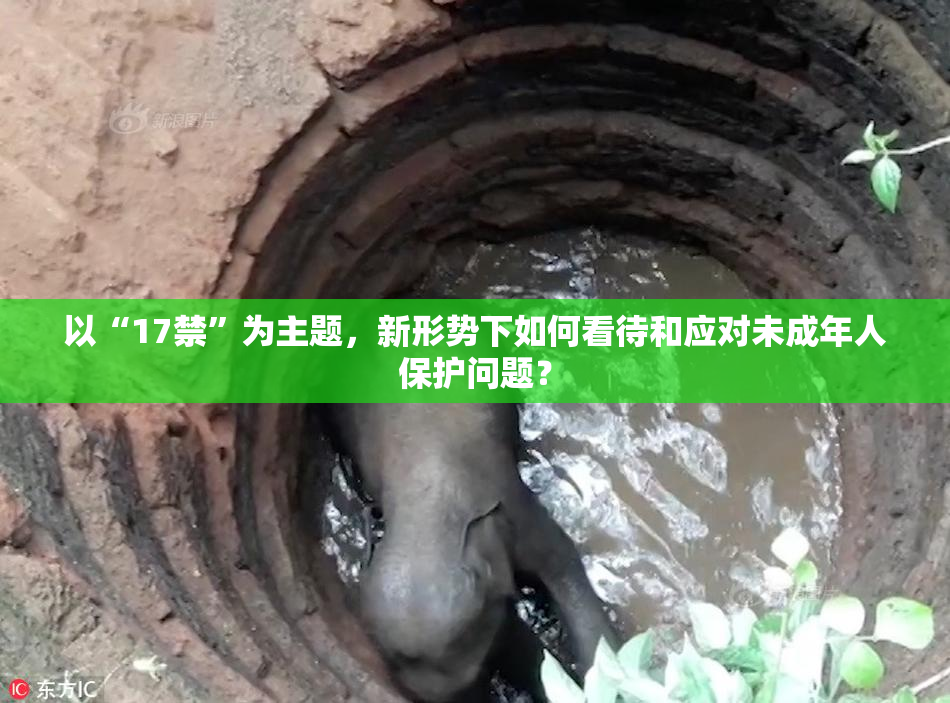 以“17禁”为主题，新形势下如何看待和应对未成年人保护问题？