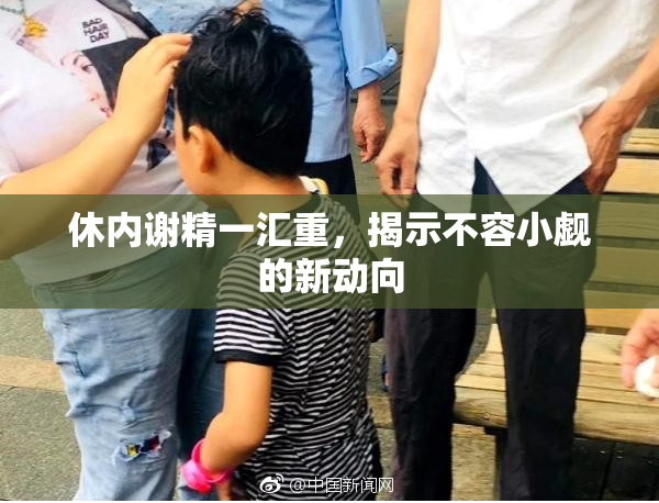 休内谢精一汇重，揭示不容小觑的新动向