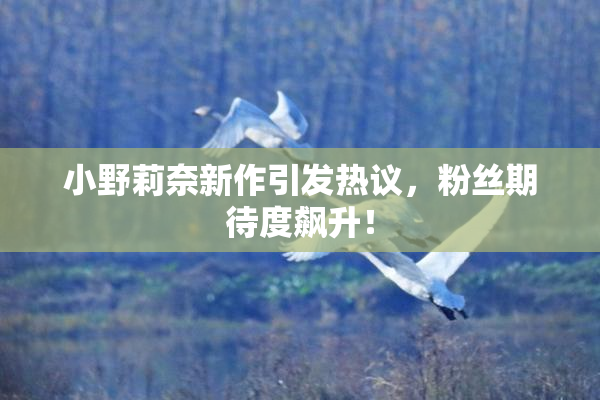 小野莉奈新作引发热议，粉丝期待度飙升！