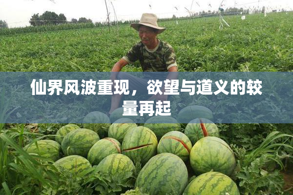 仙界风波重现，欲望与道义的较量再起