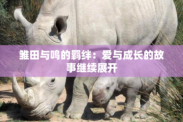 雏田与鸣的羁绊：爱与成长的故事继续展开